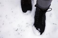 winter winter